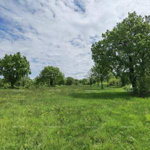 Odlično gradjevinsko zemljište za investiciju.