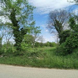 Odlično gradjevinsko zemljište za investiciju.