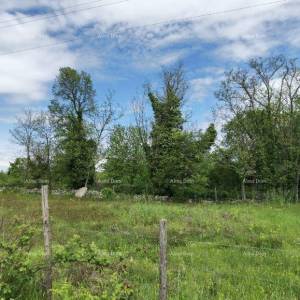 Odlično gradjevinsko zemljište za investiciju.