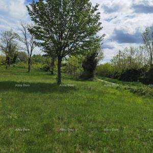 Odlično gradjevinsko zemljište za investiciju.