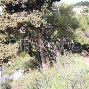 Omiška rivjera, Mimice građevinska parcela- 1. red od mora