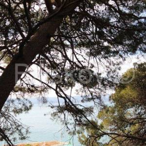 Omiška rivjera, Mimice građevinska parcela- 1. red od mora