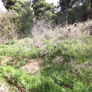 Omiška rivjera, Mimice građevinska parcela- 1. red od mora