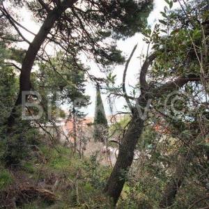 Omiška rivjera, Mimice građevinska parcela- 1. red od mora