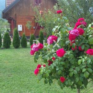 OTOČAC, LIČKO LEŠČE - Idilična kuća s bazenom