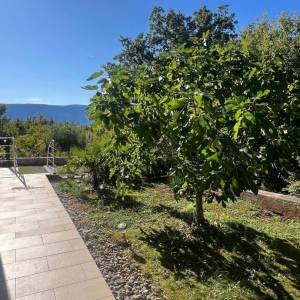 OTOK KRK, PINEZIĆI - Apartman s u prizemlju s pogledom na more