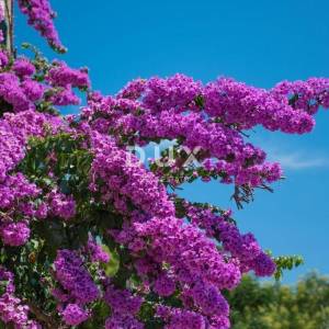 OTOK PAG, NOVALJA - villa s 20 apartmana udaljena samo 300 metara od mora! PRILIKA!