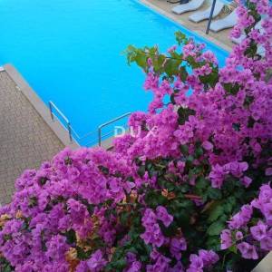 OTOK PAG, NOVALJA - villa s 20 apartmana udaljena samo 300 metara od mora! PRILIKA!