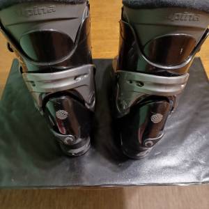 Pancerice Alpina-39-41br.