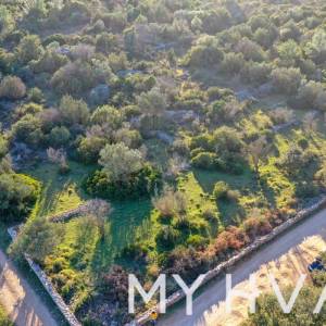 Poljoprivredna Njiva u Ageru Sa Dalmatinskom Ogradom