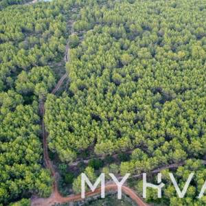 Poljoprivredno zemljište u blizini Basine