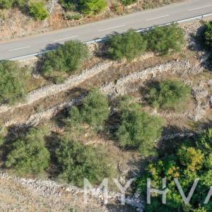 Poljoprivredno zemljište u blizini trajektne luke