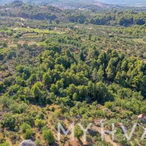 Poljoprivredno Zemljište u Pitvama