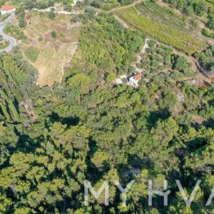 Poljoprivredno Zemljište u Pitvama