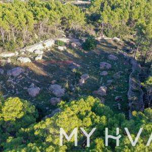 Poljoprivredno zemljište u Jelsi #1