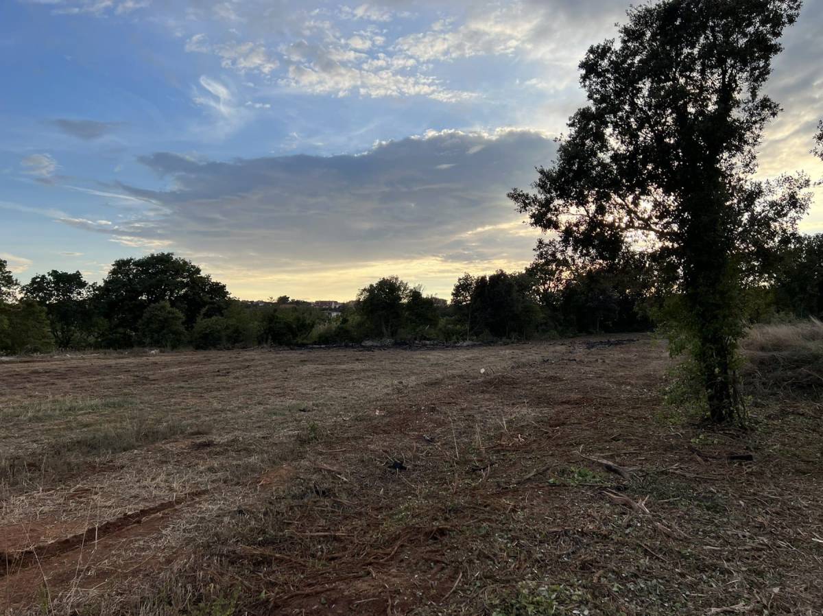 Poljoprivredno zemljište – Ližnjan, osiguran pristup