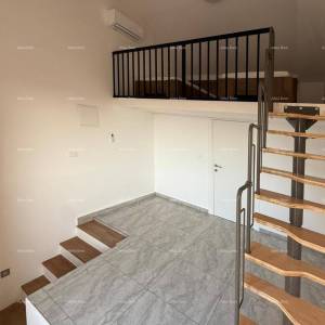 POREČ, Renovirana kamena kuća s pogledom na more