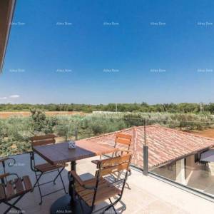 Predivna villa na velikoj okućnici! Pula.