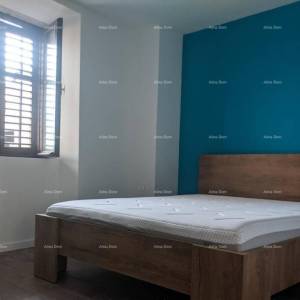 Prekrasna renovirana kuća s  pogledom i poslovnim prostorom