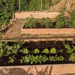 Prekrasna renovirana kuća s  pogledom i poslovnim prostorom