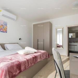 Prekrasna samostojeća kuća s bazenom u Raši, blizu mora!