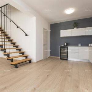 Prekrasna samostojeća kuća s bazenom u Raši, blizu mora!