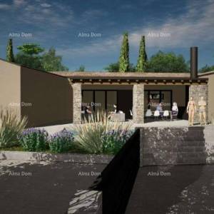 Prodaja - građevinsko zemljište s projektom za izgradnju vile prizemnice, Žminj V1