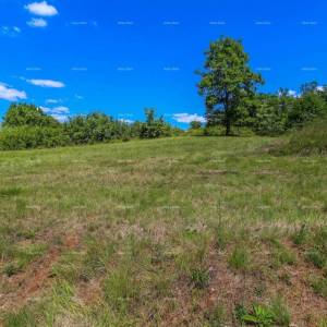 Prodaja građevinskog zemljišta s otvorenim panoramskim pogledom, Oprtalj!