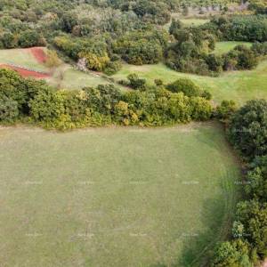 Prodaja građevinskog zemljišta, Rakalj