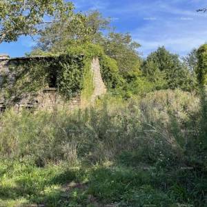 Prodaja - kamena istraska kuća za renovaciju s velikim zemljištem, Oprtalj!