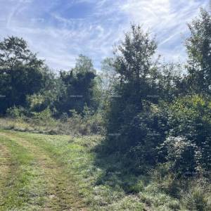 Prodaja - kamena istraska kuća za renovaciju s velikim zemljištem, Oprtalj!