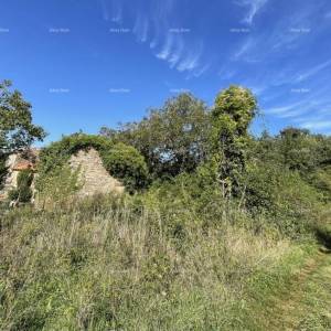 Prodaja - kamena istraska kuća za renovaciju s velikim zemljištem, Oprtalj!