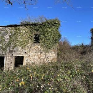 Prodaja - kamena istraska kuća za renovaciju s velikim zemljištem, Oprtalj!
