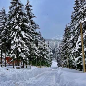 PRODAJA, GORSKI KOTAR, MRKOPALJ, PLANINSKA KUĆA.
