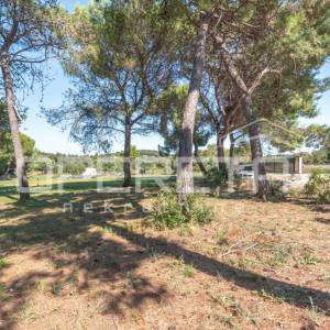 Prodaja, Kuća, Rovinj, Valsavie, Samostojeća, 150m2