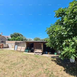 Prodaja kuće s dvije stambene jedinice, pomoćnim objektom i garažom, Ližnjan!