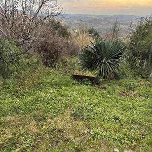 Prodaja kuće sa dvorištem u nepodrednoj blizini centra, Buje!