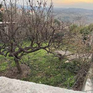 Prodaja kuće sa dvorištem u nepodrednoj blizini centra, Buje!