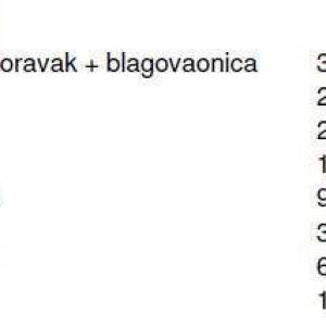 Prodaja stanova u novogradnji, Kanfanar!