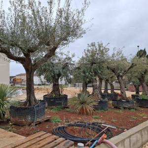 Prodaja stanova u novom poslovno - stambenom projektu, Poreč, C302-zgrada C