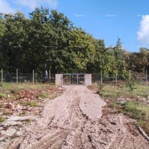 Prodaja velikog građevinskog zemljišta sa kućom i građevinskom dozvolom  za izgradnju dodatne vile, Svetvinčenat