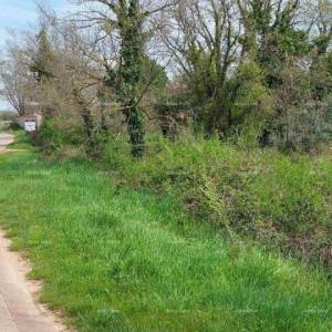 Prodaje se građevinski teren  u Krnici ravan lijepi teren , građevinsko 1097 M2.