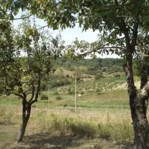 Prodaje se građevinsko veliko zemljište blizina grada Poreča.