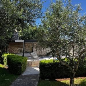 Prodaje se istarska kuća tradicionalnog i modernog dizajna, Tinjan