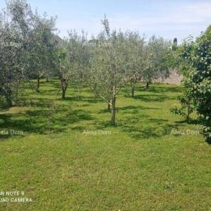 Prodaje se kuća, Medulin