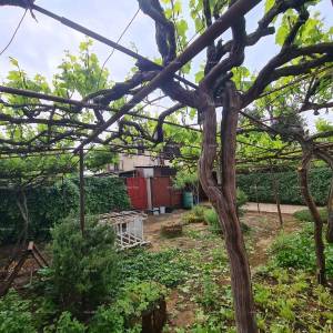 Prodaje se kuća sa velikim dvorištem, Jadreški