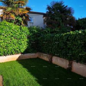 Prostran stan s dvorištem, Tar