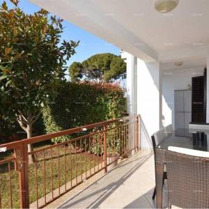 Prostran stan s dvorištem, Tar