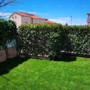 Prostran stan s dvorištem, Tar