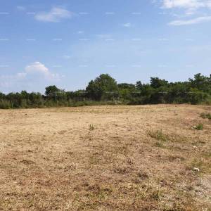 Prostrana građevinska parcela od 1700 m² u Šišanu - idealna prilika za vaš dom ili investiciju